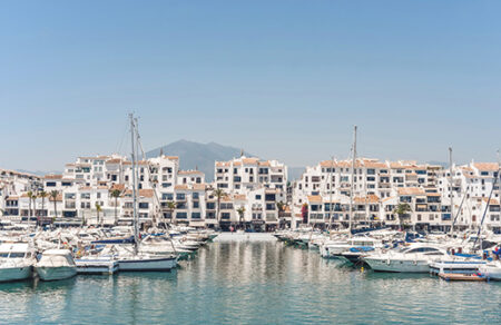 Cruise line management – diplom 2